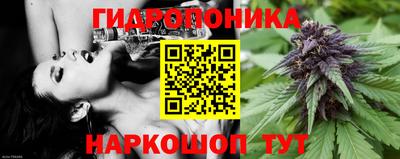 стаф Будённовск