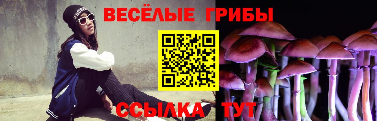 Туймазы  Галлюциногенные грибы GOLDEN TEACHER  Вход с VPN 